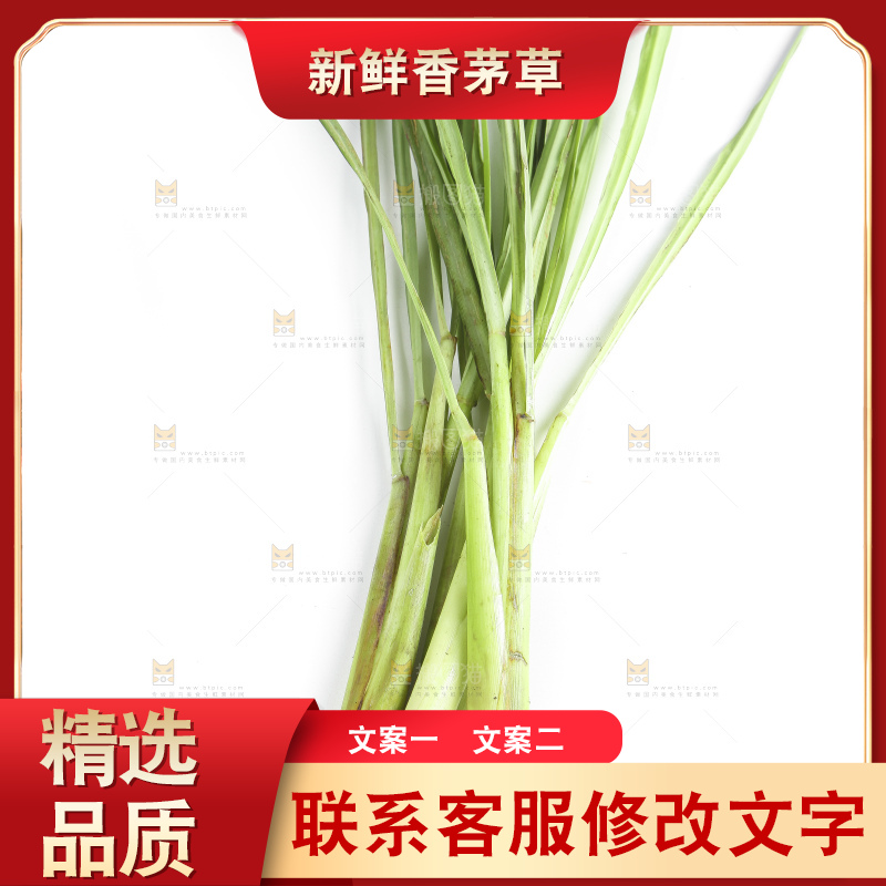 白底上的越南柠檬草