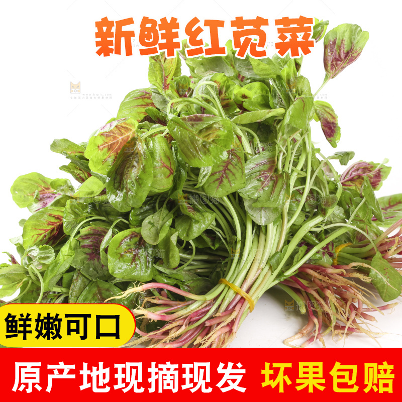 白底上的苋菜