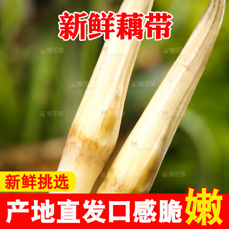 荷叶上放着洪湖藕带
