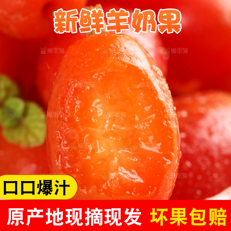 浅底上放着一盘胡颓果