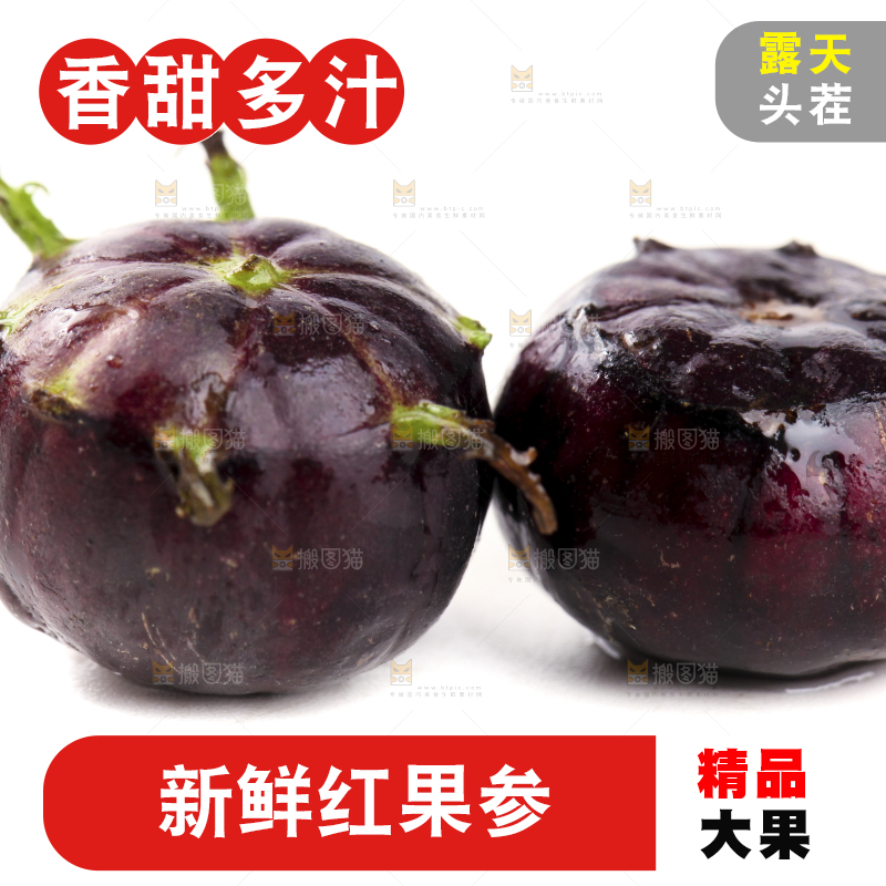 白底上的红果参
