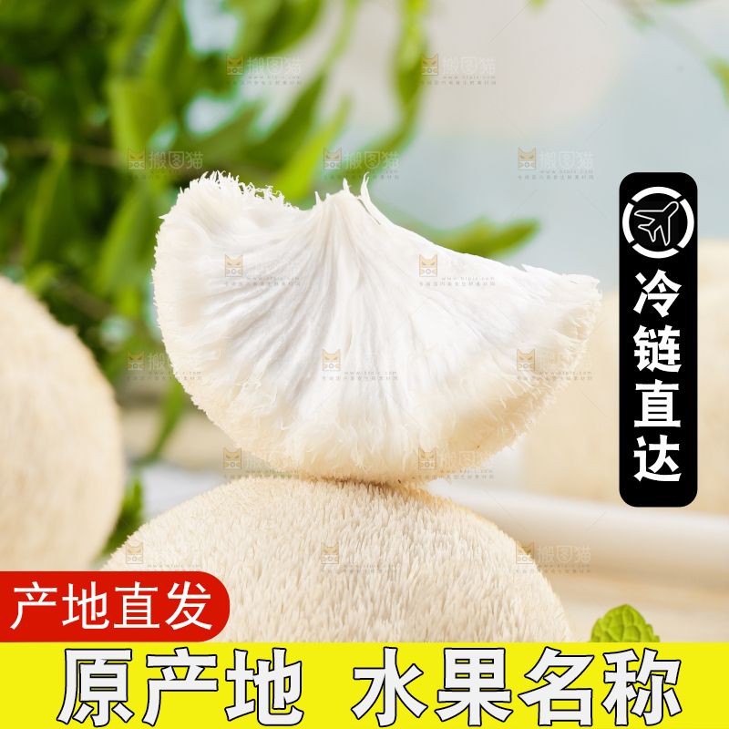木板上放着长白山猴头菇