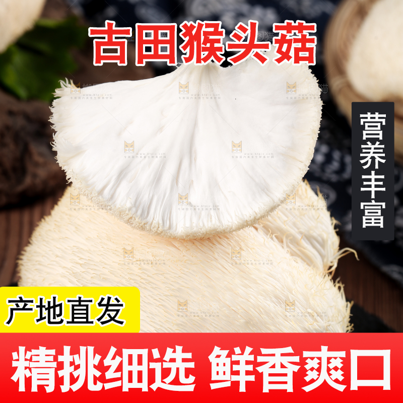 黑底上的猴头菇
