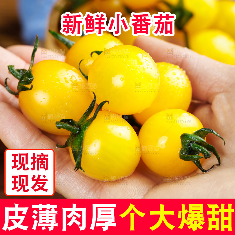 手拿着黄金小番茄