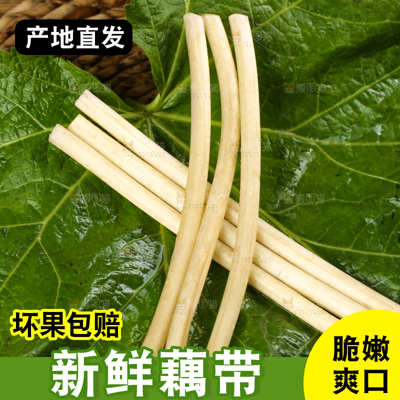 荷叶上放着藕带
