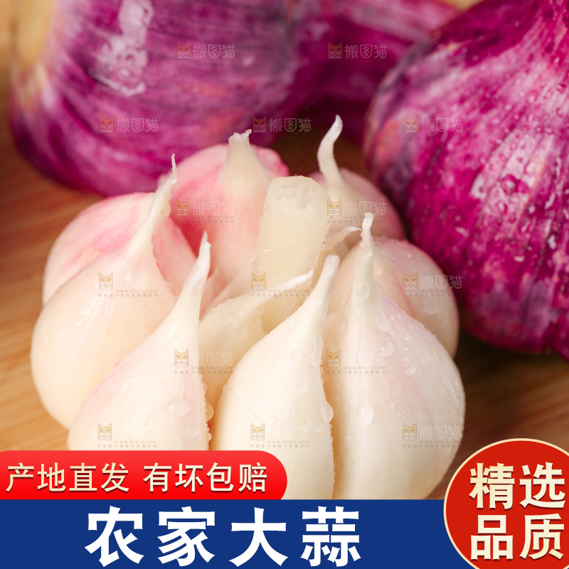 木板上摆放着云南紫皮多瓣蒜