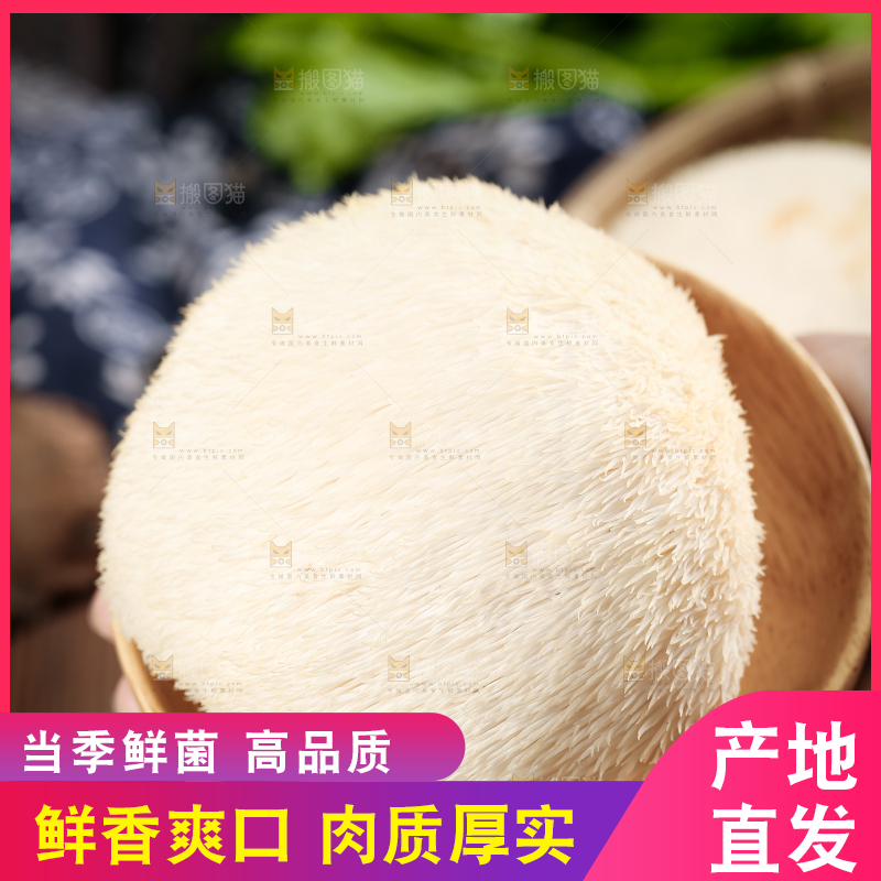 手里拿着长白山猴头菇