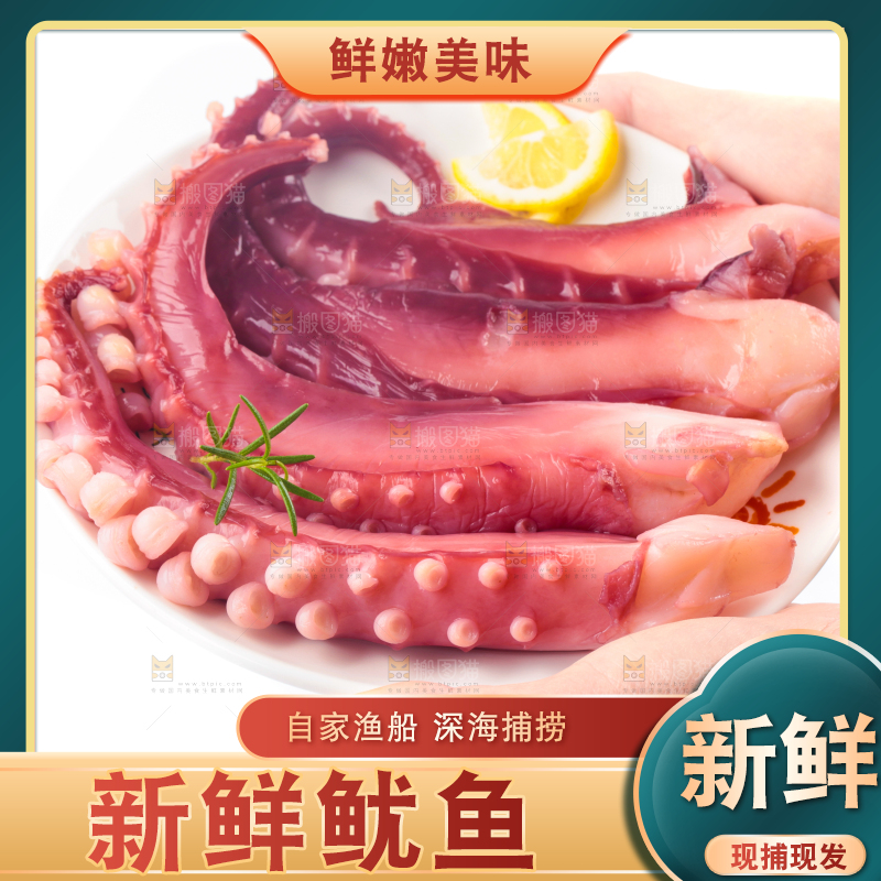 白底上的鱿鱼须
