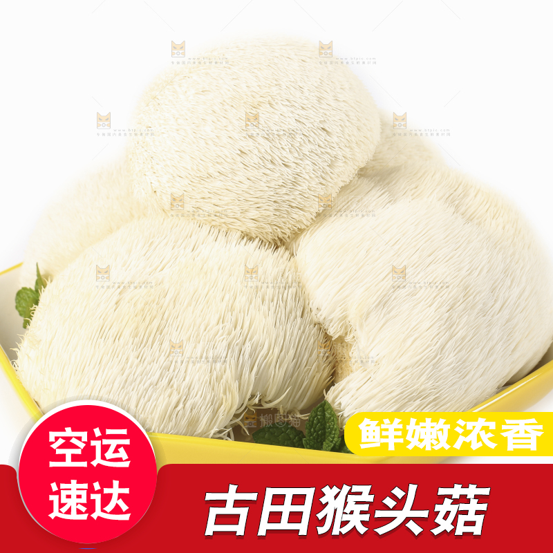 盘子里装着新鲜猴头菇