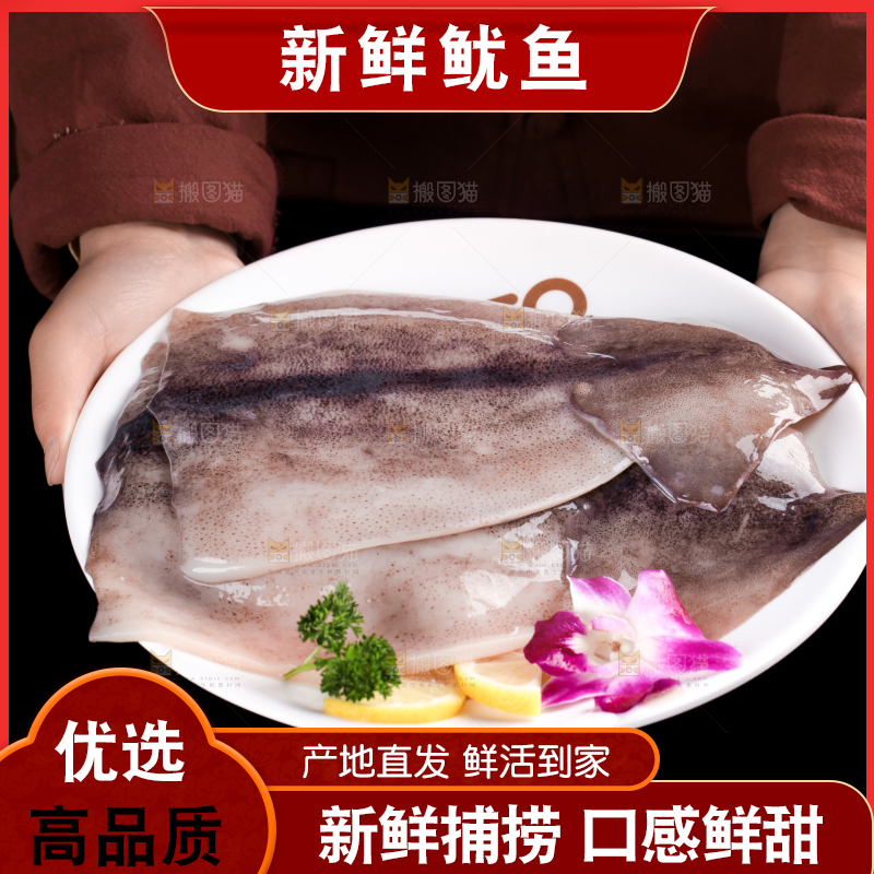 手里拿着鲜鱿鱼