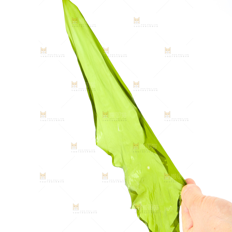 白底上放着海带苗