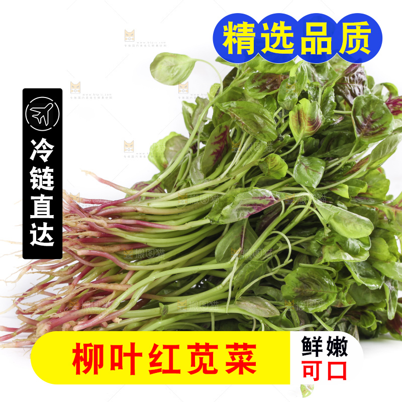 白底上的红苋菜
