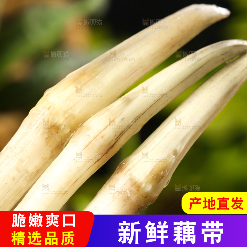 荷叶上放着洪湖藕带