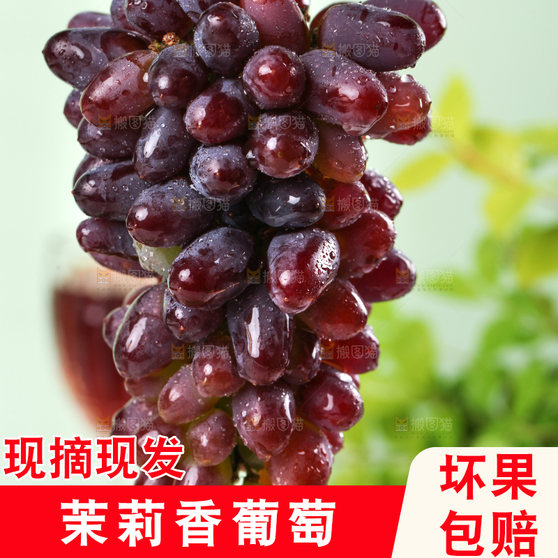 手里拿着茉莉香葡萄
