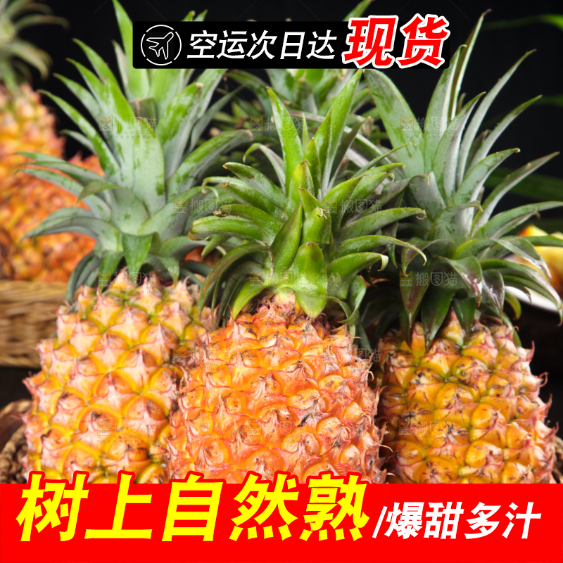 篮子里装着海南金钻凤梨