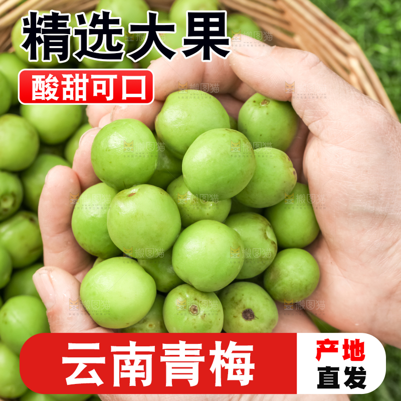 手拿新鲜青梅果