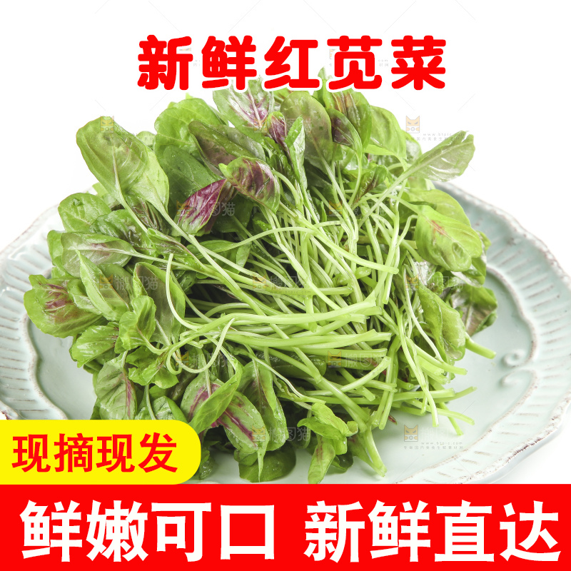 白底上放着一盘红苋菜