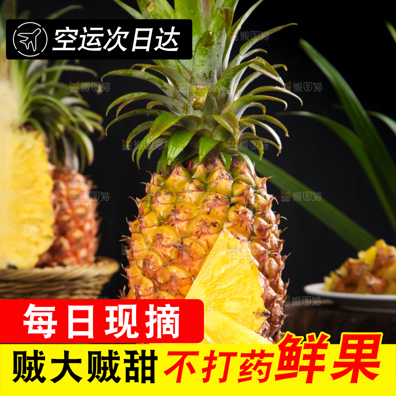 黑石板上的金钻凤梨