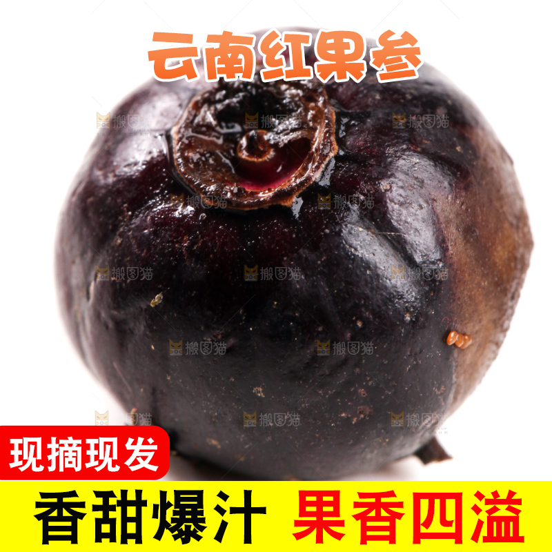 白底上的红果参