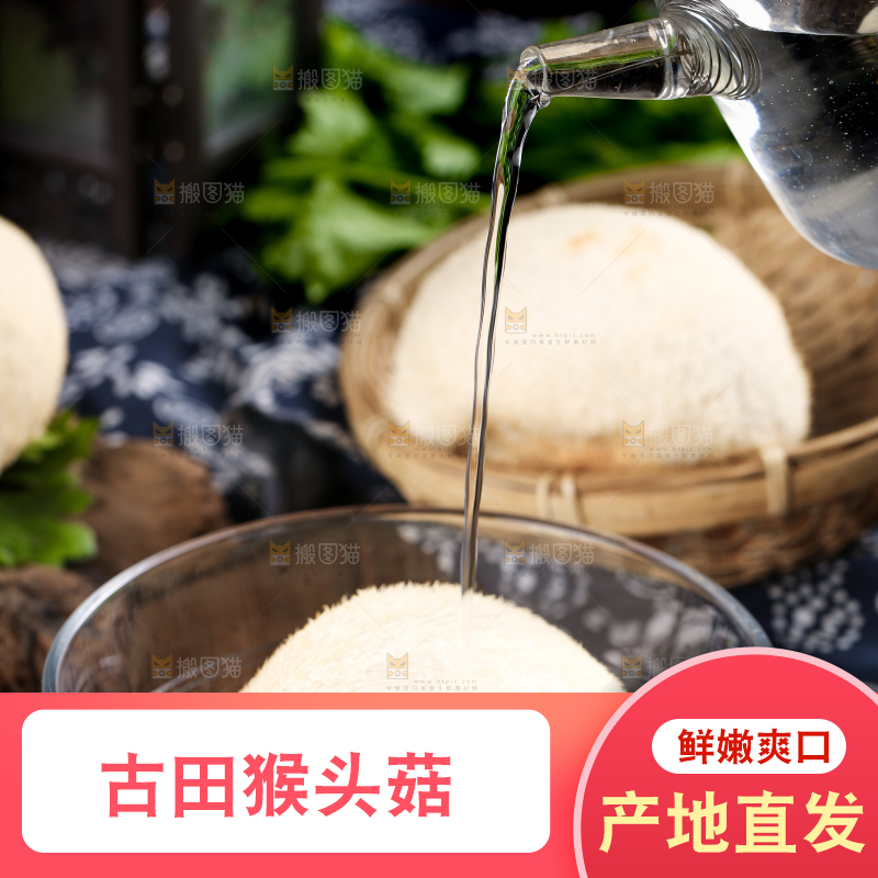 碗里放着东北山猴头菇