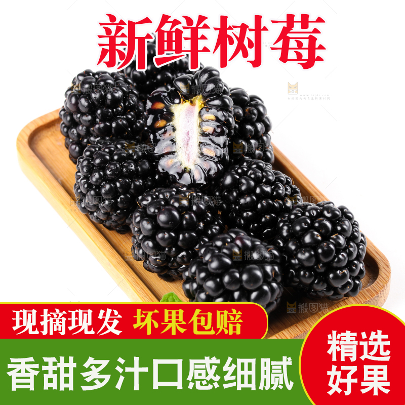 一盘黑树莓放在白底上