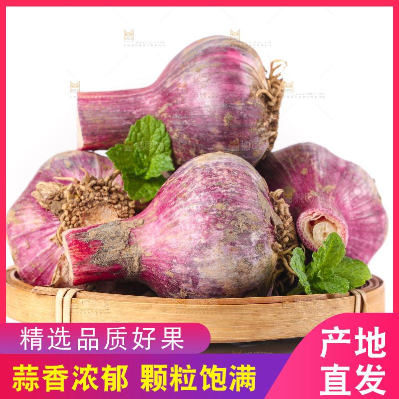 盘子里装着紫皮多重蒜