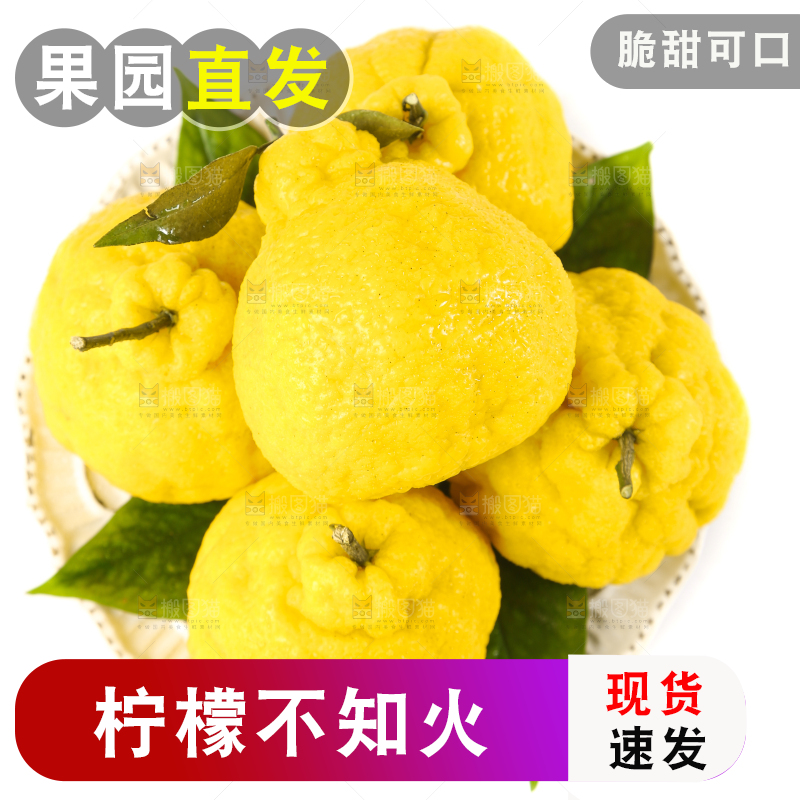 盘子里的柠檬丑柑