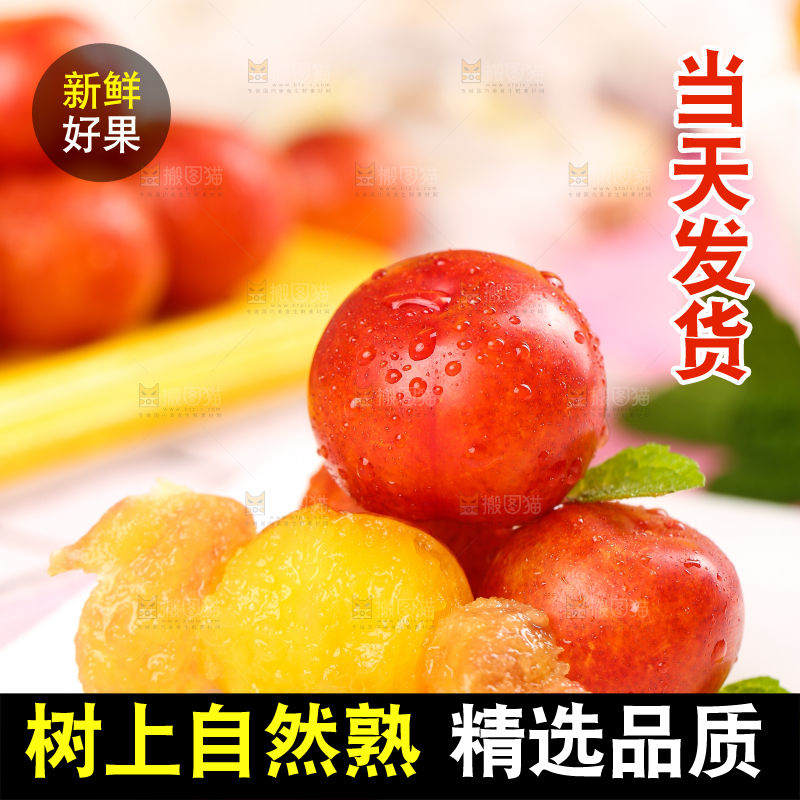 白石板上摆放着钱排三月李