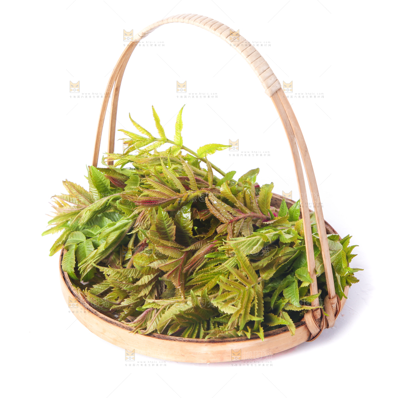 白底上放着一篮香椿芽