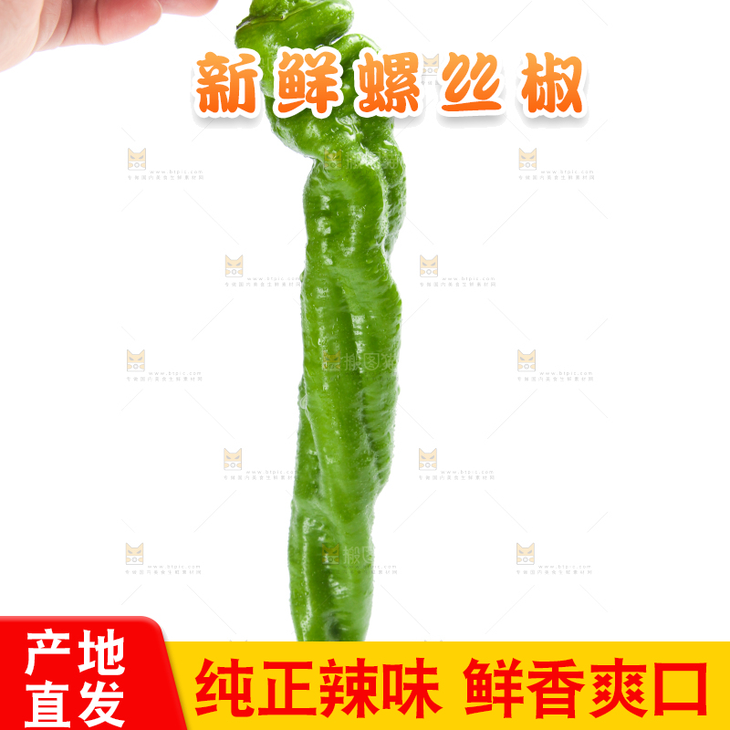 白底上摆放着青螺丝椒