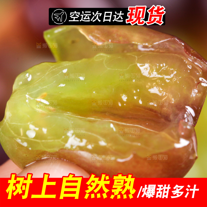 深底上的郁金香葡萄