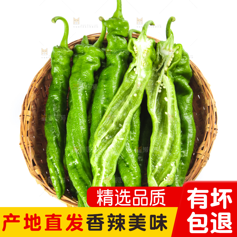 篮子里装着陕西螺丝椒