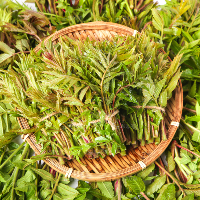 浅底上放着沂蒙山香椿芽