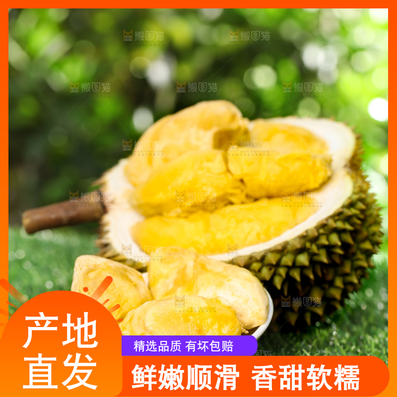 草地上摆放着甲仑榴莲