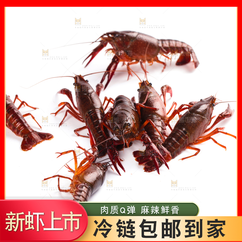 白底上放着潜江小龙虾