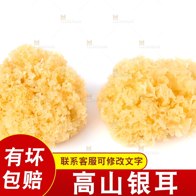 白底上的雪银耳