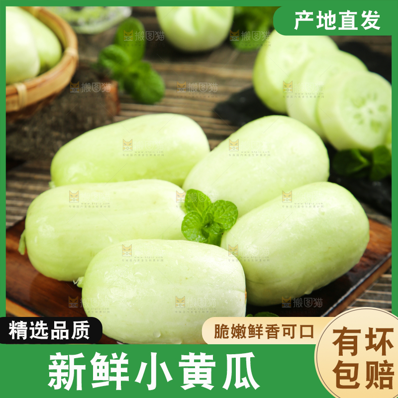 木底上的玉女小黄瓜