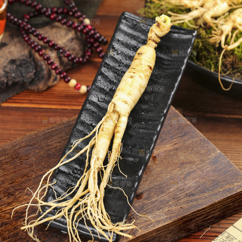 木底上的鲜人参