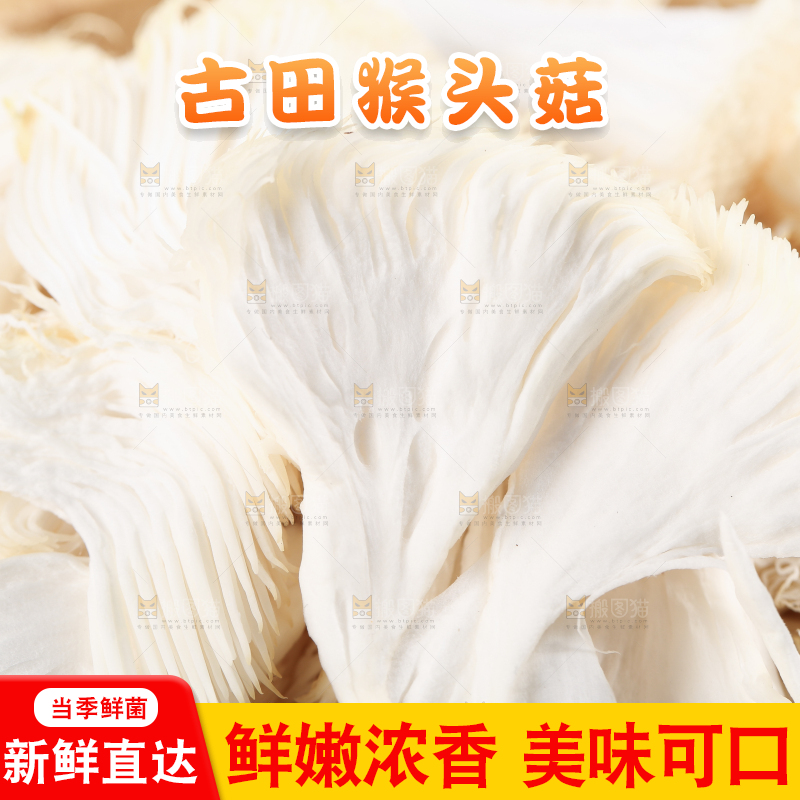 木板上放着长白山猴头菇