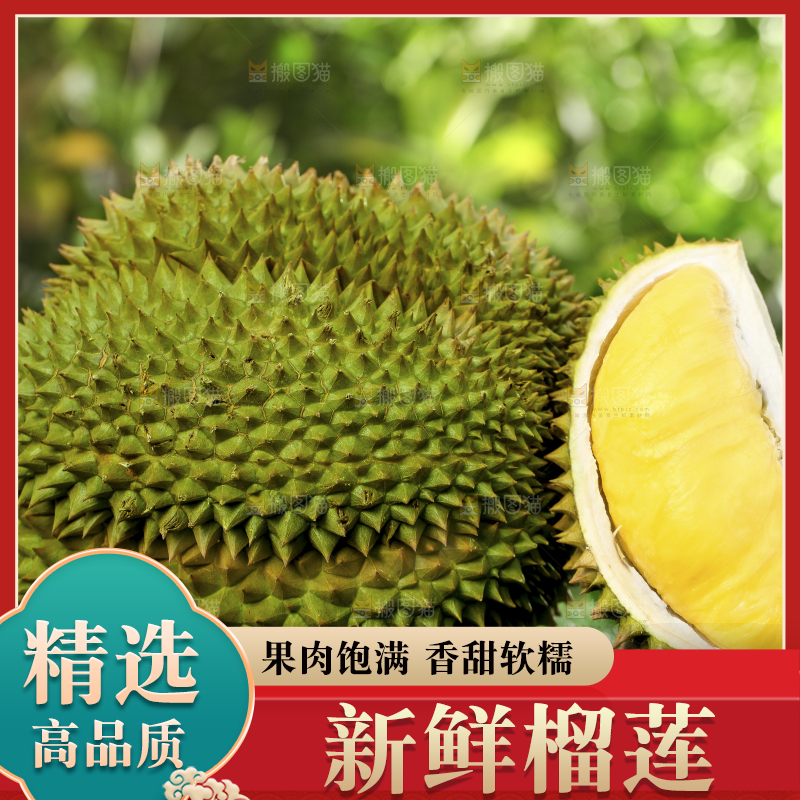 草地上摆放着甲仑榴莲