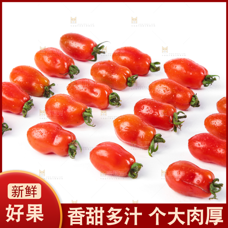 白底上摆放着丹东409小柿子
