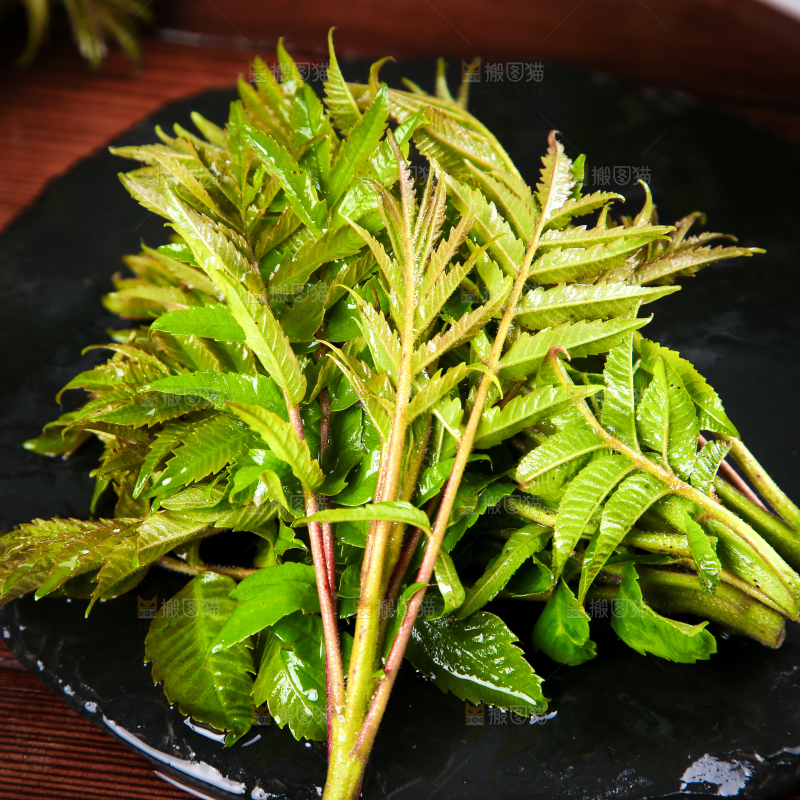 黑石板上的山东香椿芽