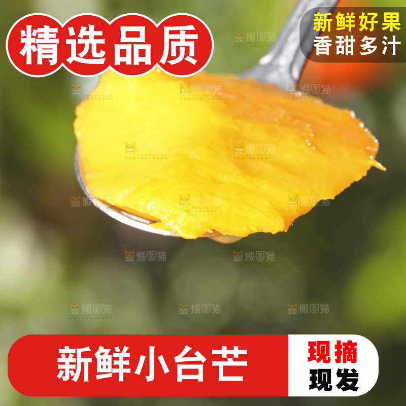 勺子里的小台芒果肉