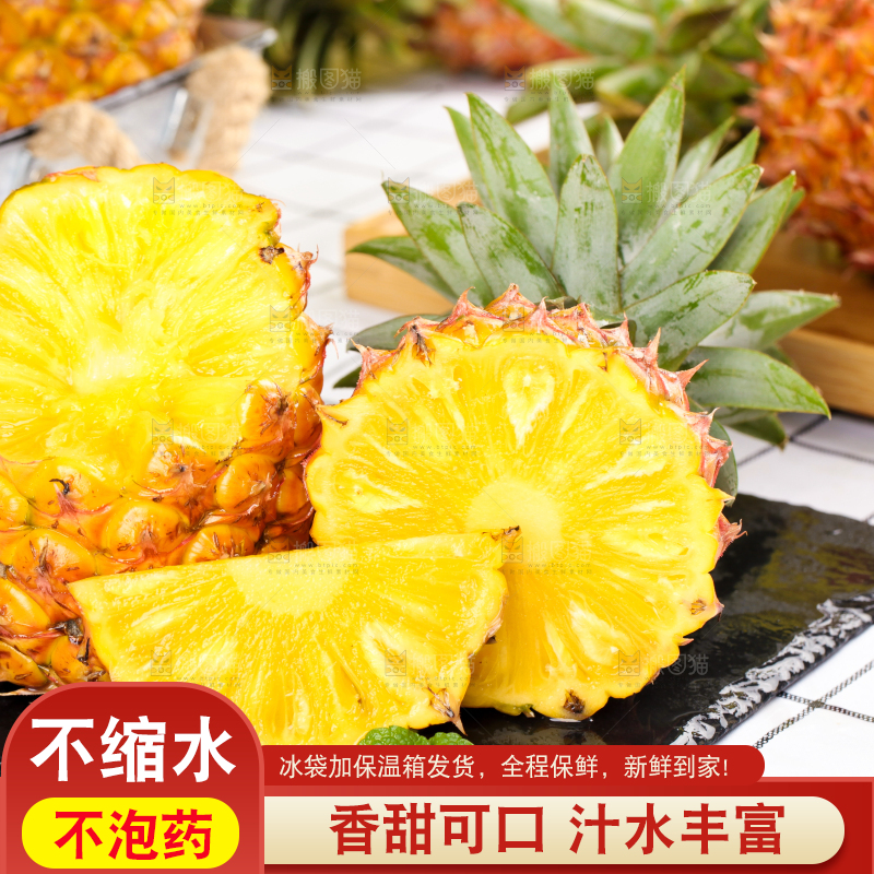 白格子底上的海南金钻凤梨