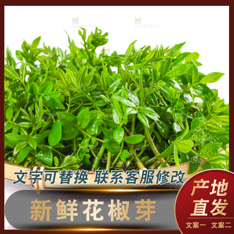 白底上放着一筐野生花椒嫩芽