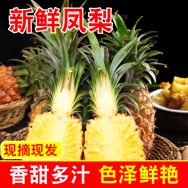 篮子里装着海南金钻凤梨
