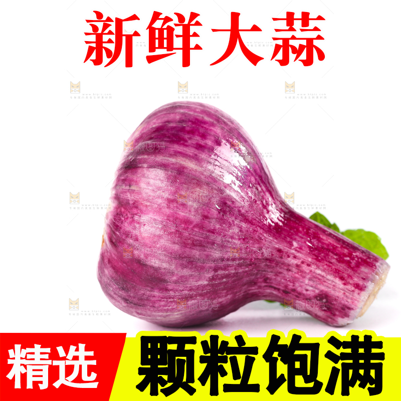 白底上放着紫皮大蒜