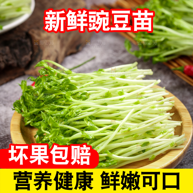 盘子里装着豌豆芽