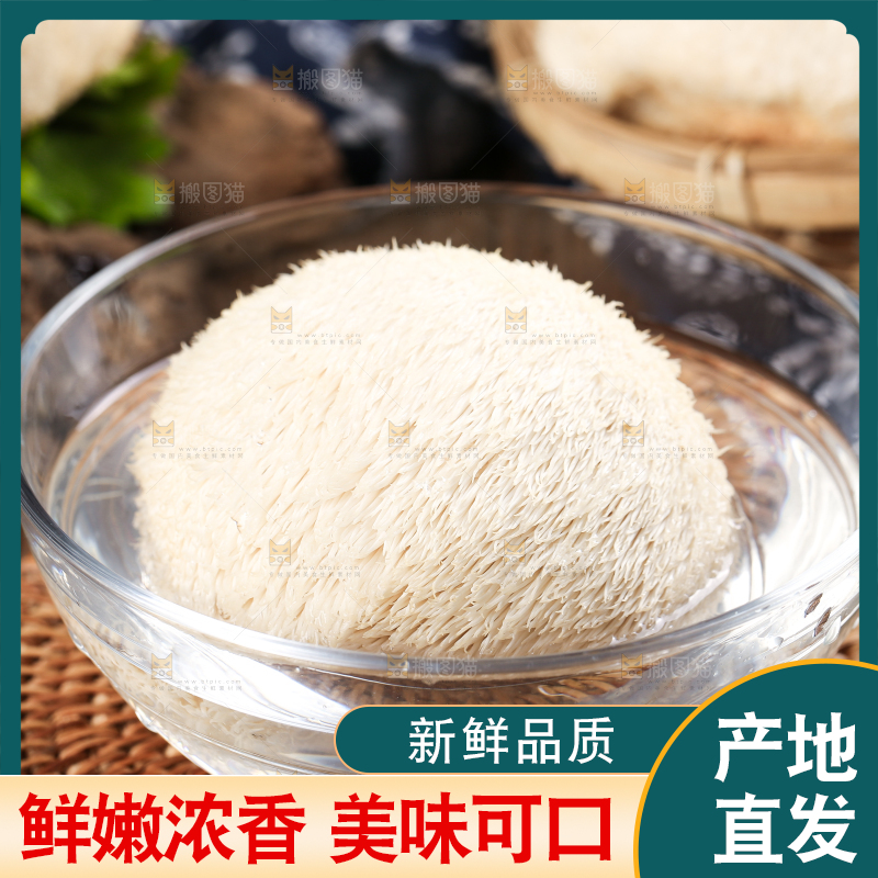 碗里放着东北山猴头菇