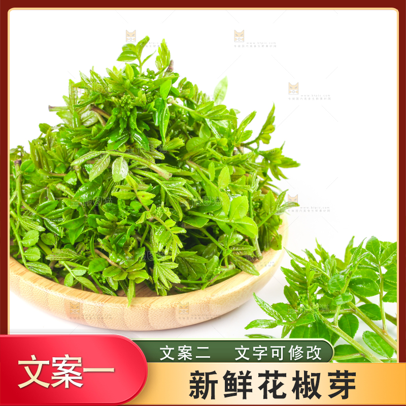 白底上放着一筐野生花椒嫩芽